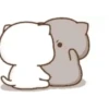 MOCHI CAT  UNA MÁS.mov 15