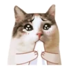 Cat lady 8