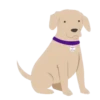 Perritos 2 (mov) 13