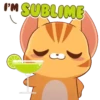 Cute 3 Cats (mov) 13