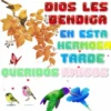 Buenas Tardes mov 11