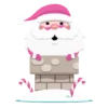 ● Navidad Rosa Mov. ● 9
