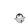 Pingüinos tiernos Mov. 16