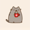 Pusheen Navidad 12