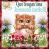 Buenas Tardes mov 12