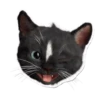 Cute 3 Cats (mov) 16