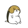 Dog Chubby   (Mov) 12