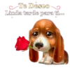 Buenas Tardes mov 13