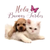 Buenas Tardes mov 16