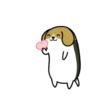 Dog Chubby   (Mov) 15