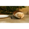 Reacciones 2 (mov) 21