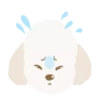 Moving Cream toy poodle .MOV 10
