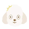 Moving Cream toy poodle .MOV 11