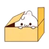 Happy bunny Sunny  .MOV 20