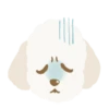 Moving Cream toy poodle .MOV 13