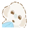 Moving Cream toy poodle .MOV 14