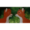 Reacciones (mov) 29