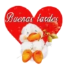 Buenas Tardes mov 26