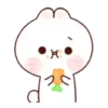 Happy bunny Sunny  .MOV 23
