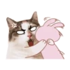 Cat lady 22