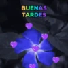 Buenas Tardes mov 28