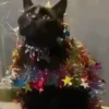 Animals in Christmas 3  MOV 6