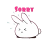 white MOV.rabbit 6