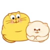 Kitty Sleep. Mov 5