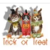 Trick or Treat  2 Movi 6