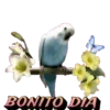 BUENOS DIAS 8