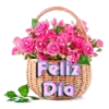 BUENOS DIAS 9