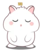 White hamster 2  .MOV 7