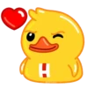 Duck Duck 6