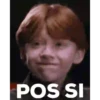 HARRY POTTER 6