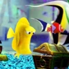 Finding Nemo 10