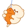 Kitty Sleep. Mov 13