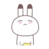 ️Bunny mix  MOV 9