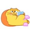 Kitty Sleep. Mov 14