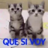 KittyParty 10