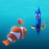 Finding Nemo 14