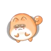 Tierno conejito 6