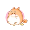 Tierno conejito 7