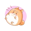 Tierno conejito 8