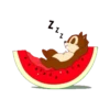 【英文】Chip 'n' Dale 動態貼圖(夏季篇)奇奇蒂蒂 16