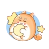 Tierno conejito 9