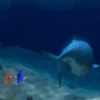 Finding Nemo 16