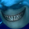 Finding Nemo 17