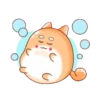 Tierno conejito 10