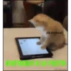 KittyParty 16