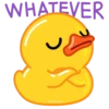 Duck Duck 13